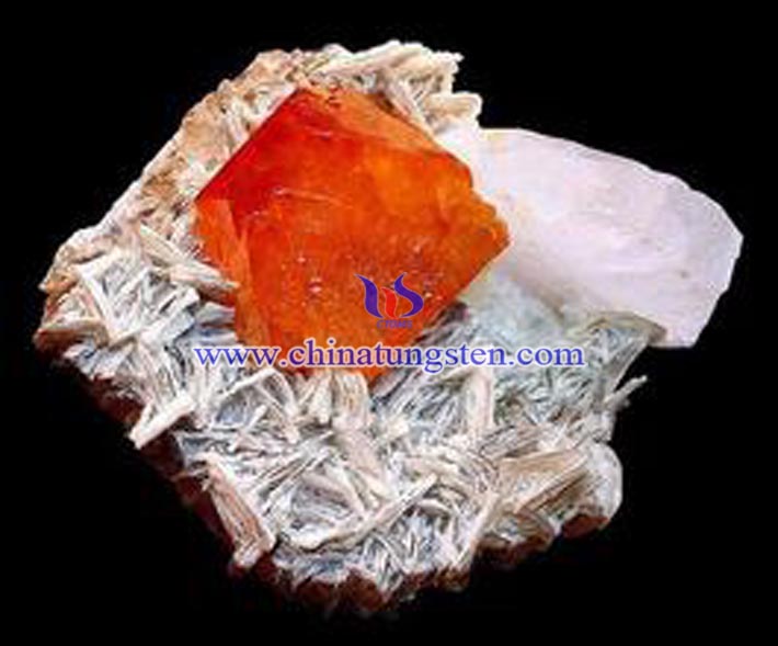 �u���V�DƬ