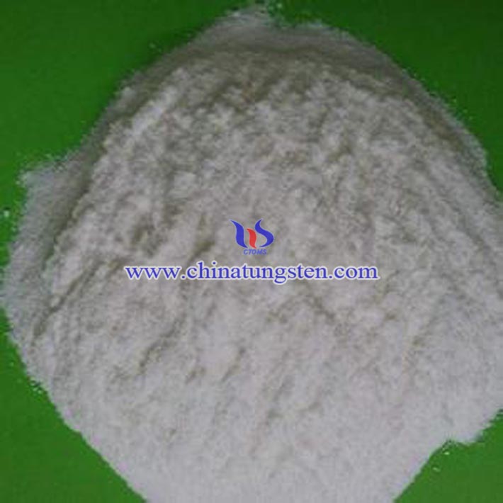 ���u���@�DƬ