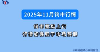 2025年11月鎢價如何